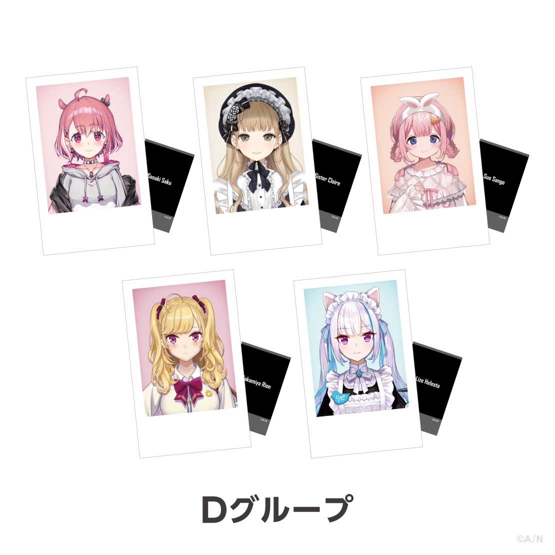【Another Style Goods vol.1】ランダムチェキ風カード Dグループ