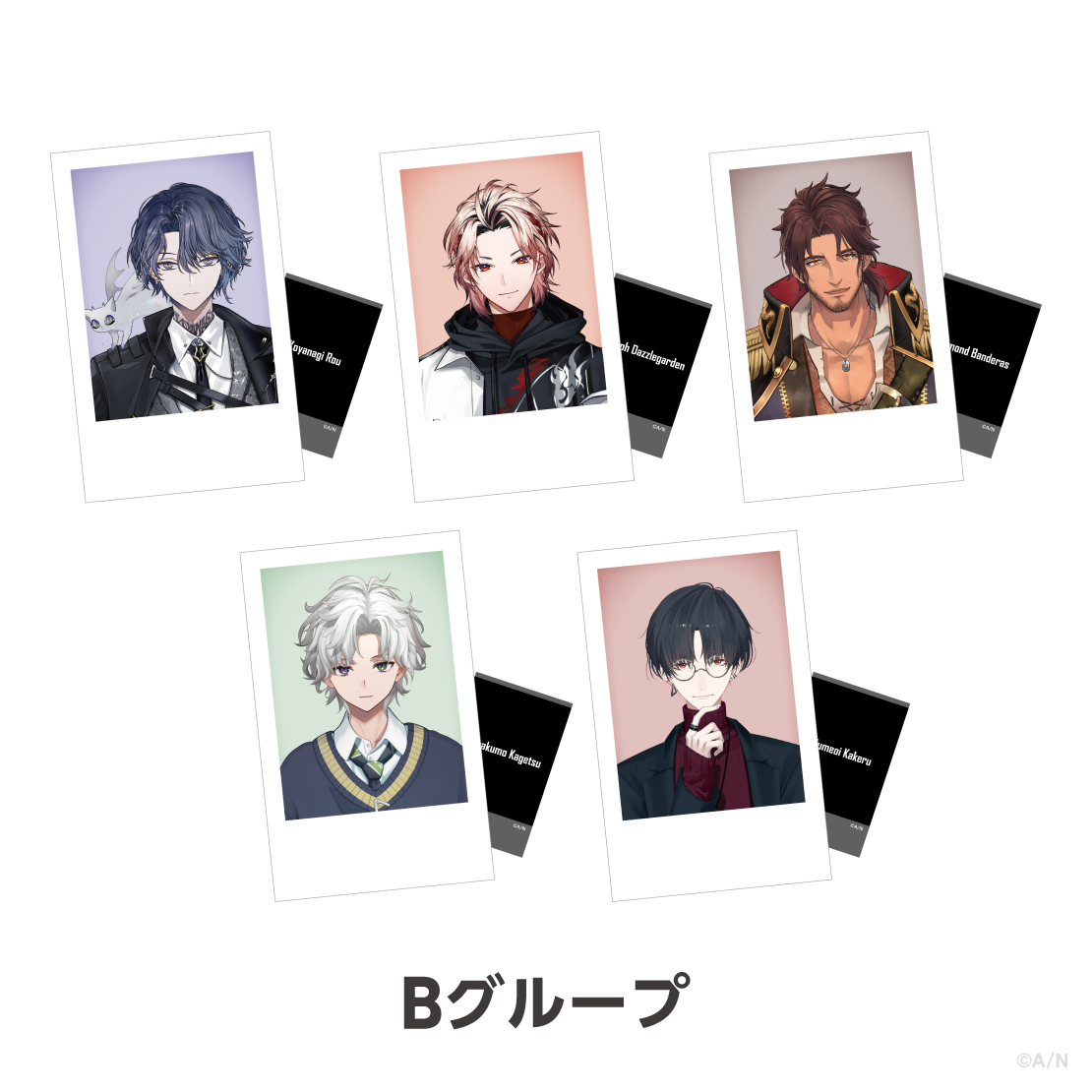 【Another Style Goods vol.1】ランダムチェキ風カード Bグループ