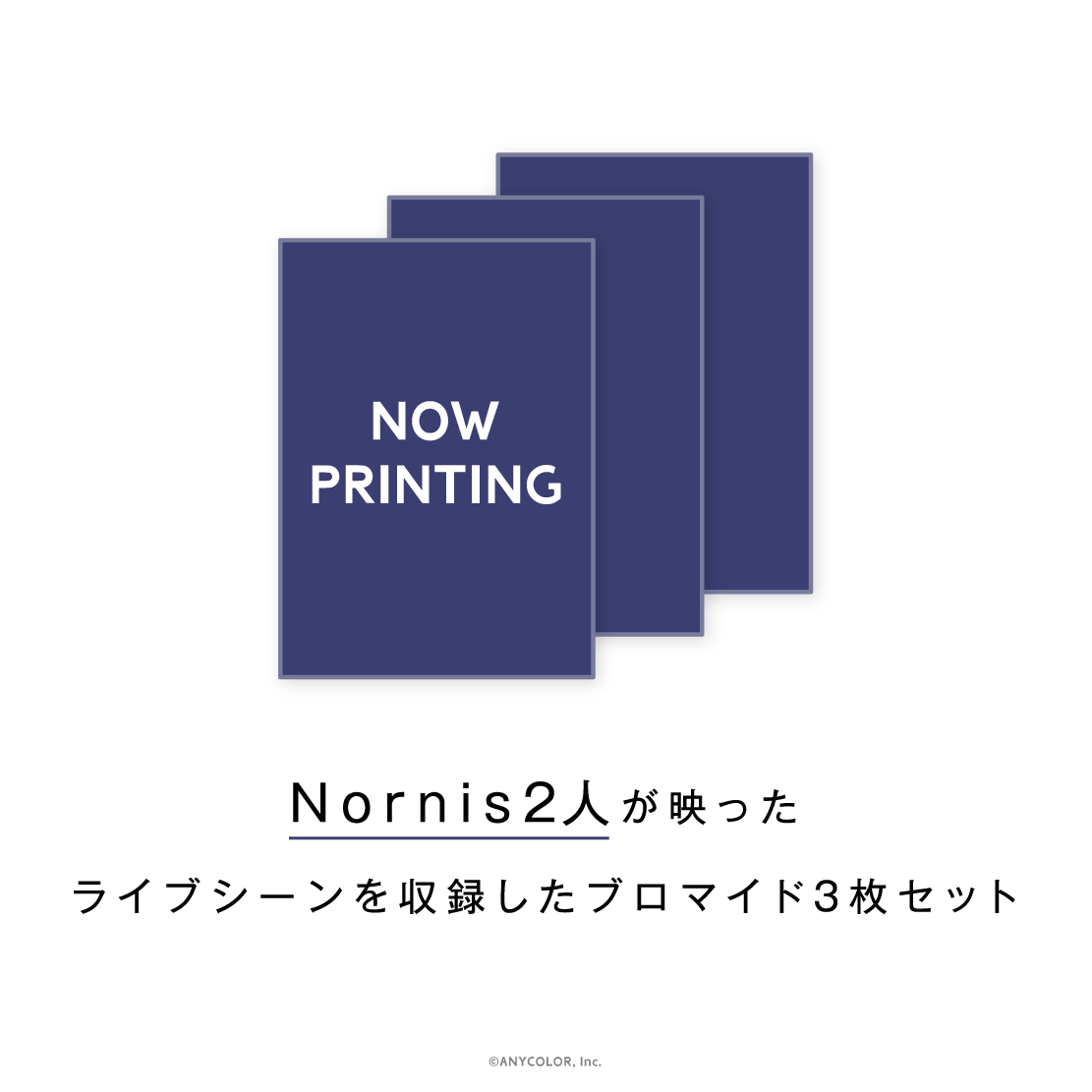 【Nornis LIVE TOUR 2024 -Tensegrity-】ブロマイドセット