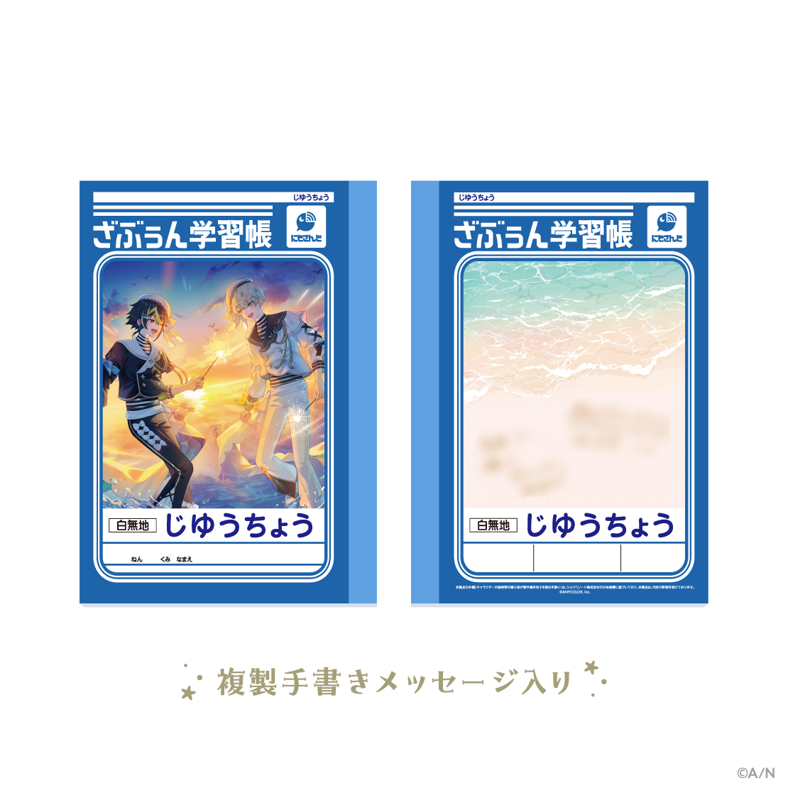 【THE BOOM】ざぶぅん学習帳