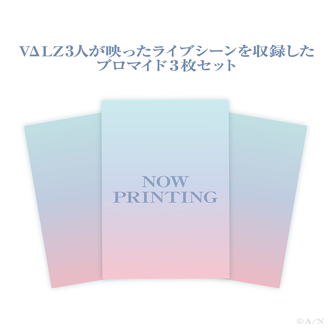 【VΔLZ LIVE TOUR 2024 三華の樂】事後ブロマイドセット