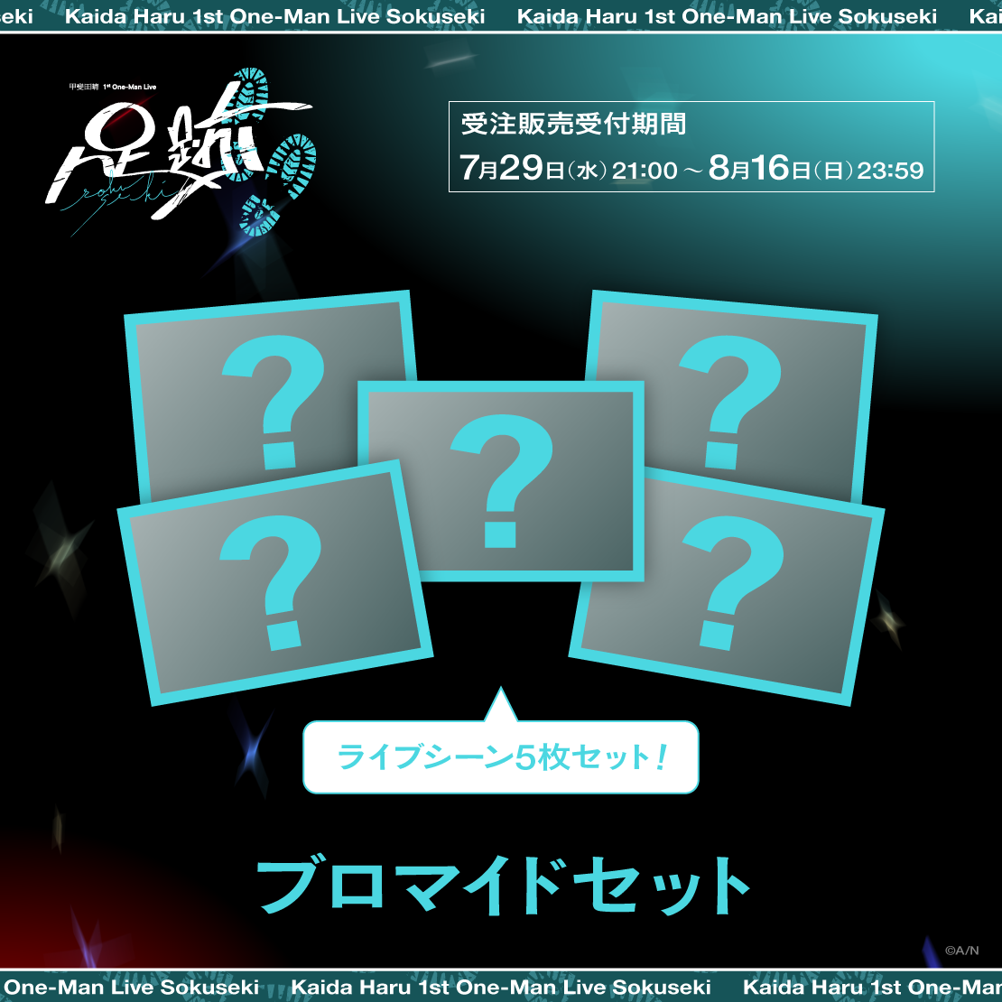 【甲斐田晴 1st Live 足跡】ブロマイドセット