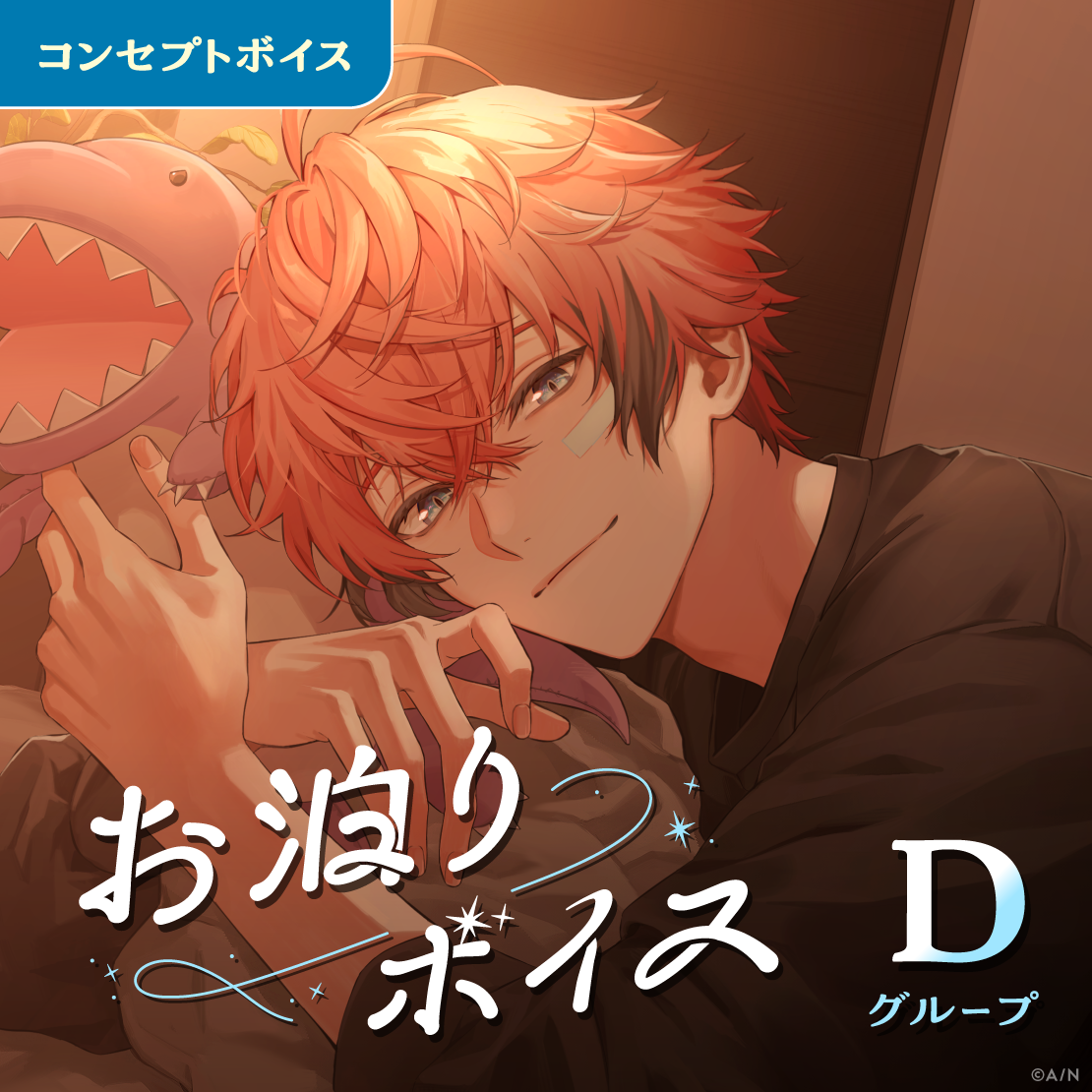 お泊りボイス - Dグループ