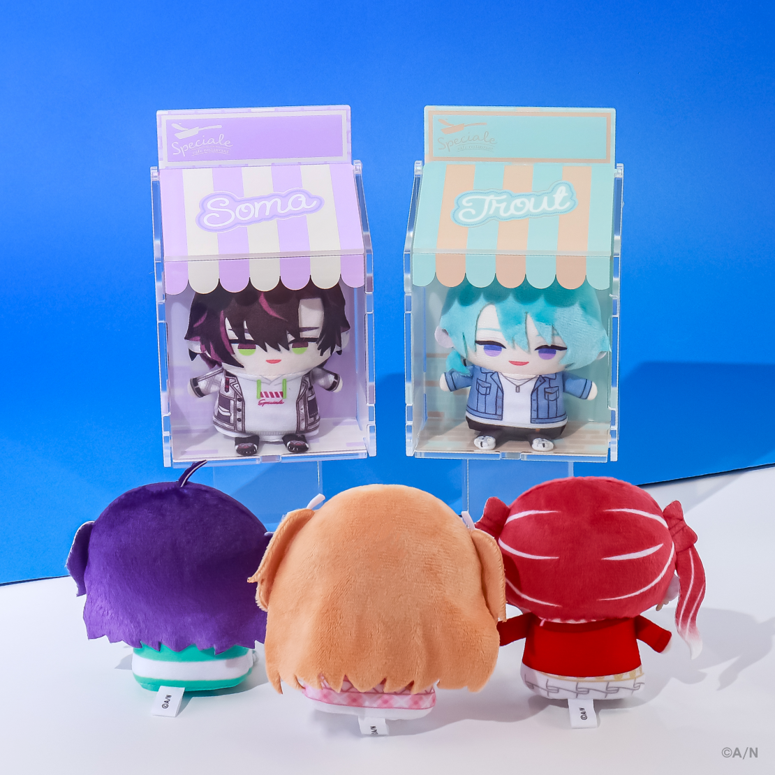 【Speciale 2nd】アクリルケース