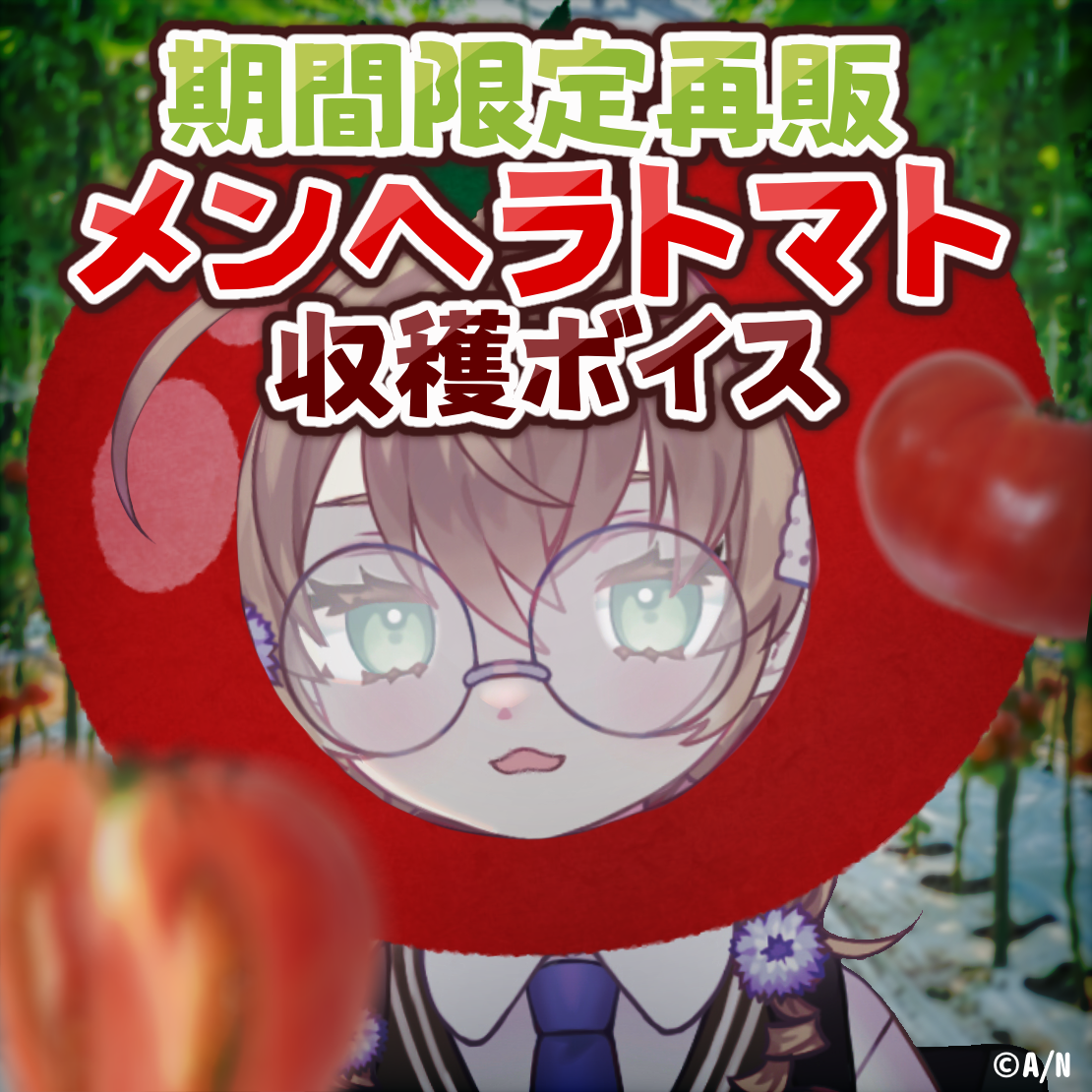 【期間限定】矢車りね メンヘラトマト収穫ボイス